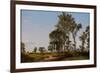 Young Elms-David Johnson-Framed Giclee Print