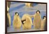 Young Emperor Penguins-DLILLC-Framed Photographic Print