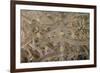 Young European Eel (Anguilla Anguilla) Elvers-Nick Upton-Framed Photographic Print