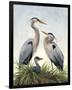 Young Family (Herons)-Molly Sims-Framed Giclee Print