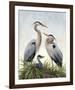 Young Family (Herons)-Molly Sims-Framed Giclee Print