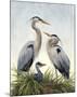 Young Family (Herons)-Molly Sims-Mounted Giclee Print