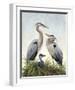 Young Family (Herons)-Molly Sims-Framed Giclee Print