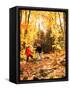 Young Family with Baby Hiking in Autumn-Bill Bachmann-Framed Stretched Canvas