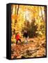 Young Family with Baby Hiking in Autumn-Bill Bachmann-Framed Stretched Canvas