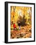 Young Family with Baby Hiking in Autumn-Bill Bachmann-Framed Photographic Print