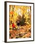 Young Family with Baby Hiking in Autumn-Bill Bachmann-Framed Photographic Print