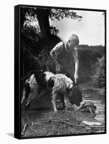 Young Farm Boy Watching His Dog Sniff a Large Turtle at the Pond-Myron Davis-Framed Stretched Canvas