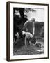 Young Farm Boy Watching His Dog Sniff a Large Turtle at the Pond-Myron Davis-Framed Photographic Print