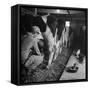 Young Farmer Milking a Row of Cows in a Barn, Kittens and Pan of Milk Nearby-Gordon Parks-Framed Stretched Canvas