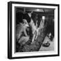 Young Farmer Milking a Row of Cows in a Barn, Kittens and Pan of Milk Nearby-Gordon Parks-Framed Photographic Print