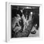 Young Farmer Milking a Row of Cows in a Barn, Kittens and Pan of Milk Nearby-Gordon Parks-Framed Photographic Print