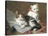 Young Feline Author-Leon Charles Huber-Stretched Canvas