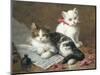 Young Feline Author-Leon Charles Huber-Mounted Giclee Print