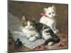 Young Feline Author-Leon Charles Huber-Mounted Giclee Print