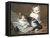 Young Feline Author-Leon Charles Huber-Framed Stretched Canvas