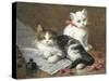 Young Feline Author-Leon Charles Huber-Stretched Canvas