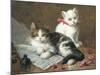 Young Feline Author-Leon Charles Huber-Mounted Giclee Print