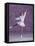 Young Female Figure Skater-null-Framed Stretched Canvas