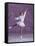 Young Female Figure Skater-null-Framed Stretched Canvas
