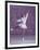 Young Female Figure Skater-null-Framed Photographic Print