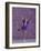 Young Female Figure Skater-null-Framed Photographic Print
