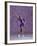 Young Female Figure Skater-null-Framed Photographic Print