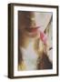 Young Female Holding a Red Leaf to Her Lips-Carolina Hernandez-Framed Photographic Print