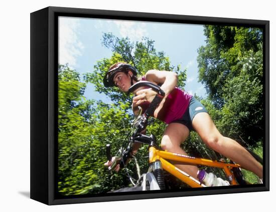 Young Female Recreational Mountain Biker Riding in the Forest-null-Framed Stretched Canvas