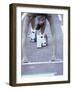 Young Female Runner at the Starting Position-null-Framed Photographic Print