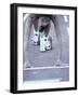 Young Female Runner at the Starting Position-null-Framed Photographic Print