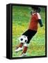 Young Female Soccer Player-null-Framed Stretched Canvas