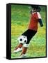 Young Female Soccer Player-null-Framed Stretched Canvas