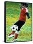 Young Female Soccer Player-null-Framed Stretched Canvas