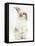 Young Fluffy Rabbit Standing Up-Mark Taylor-Framed Stretched Canvas