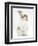 Young Fluffy Rabbit Standing Up-Mark Taylor-Framed Premium Photographic Print