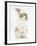 Young Fluffy Rabbit Standing Up-Mark Taylor-Framed Photographic Print