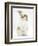 Young Fluffy Rabbit Standing Up-Mark Taylor-Framed Photographic Print