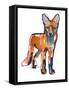 Young Fox, 2021, (mixed media on paper)-Mark Adlington-Framed Stretched Canvas