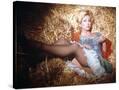 Stretched Canvas