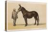 Young French Mule with Its Owner Monsieur Rimbault First Prize at the Niort Competition of 1865-null-Stretched Canvas