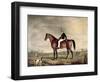 Young Gentleman in Grey Hat on Bay Hunter-Abraham Cooper-Framed Giclee Print