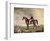 Young Gentleman in Grey Hat on Bay Hunter-Abraham Cooper-Framed Giclee Print