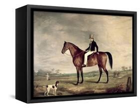 Young Gentleman in Grey Hat on Bay Hunter-Abraham Cooper-Framed Stretched Canvas