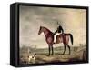 Young Gentleman in Grey Hat on Bay Hunter-Abraham Cooper-Framed Stretched Canvas