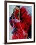 Young Girl 451107-Pol Ledent-Framed Art Print