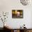 Young Girl and Indian Crosses, San Cristobal de Las Casas, Chiapas Province, Mexico-Peter Adams-Framed Stretched Canvas displayed on a wall