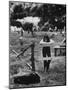 Young Girl Attending Woodstock Music Festival-John Dominis-Mounted Photographic Print