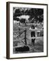 Young Girl Attending Woodstock Music Festival-John Dominis-Framed Photographic Print