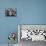 Young Girl Blowing a Bubble with Her Friends Watching-Bob Landry-Photographic Print displayed on a wall